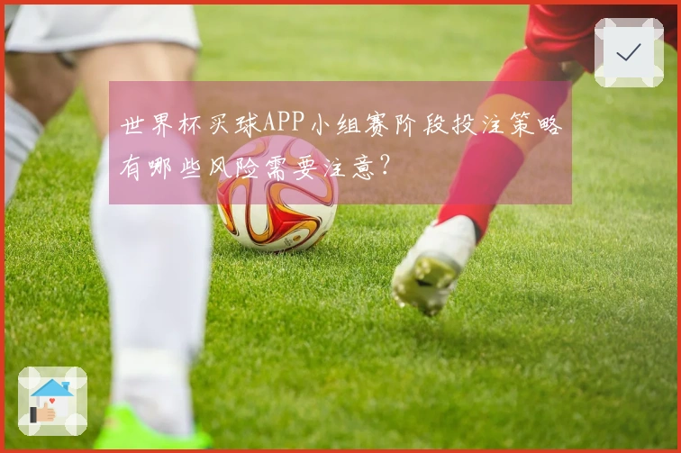 世界杯买球APP小组赛阶段投注策略有哪些风险需要注意？